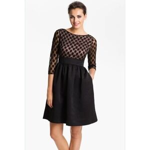Eliza J Black Polka Dot Sheer Sleeve Fit Flare Dress Size 16